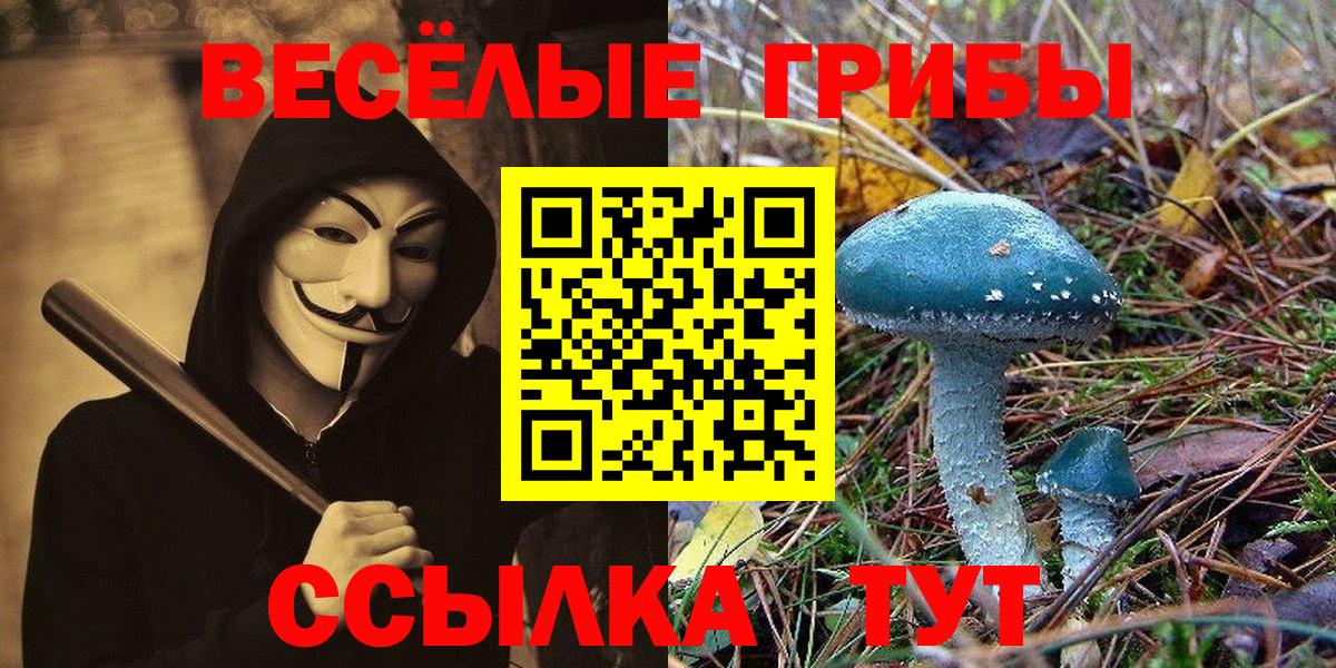 как найти закладки  Вход с VPN  Скопин  Галлюциногенные грибы прущие грибы 
