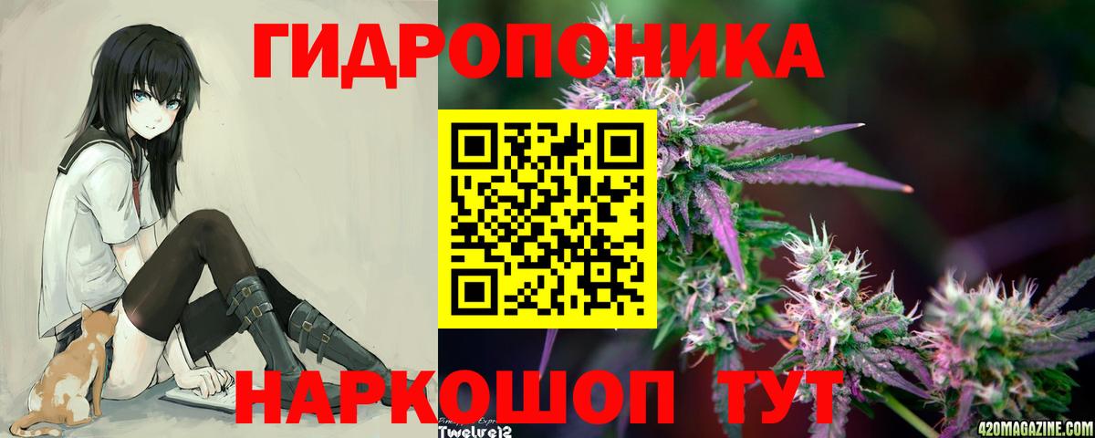 Канабис THC 21%  Вход с VPN  Марихуана гибрид  Скопин  Конопля AK-47 